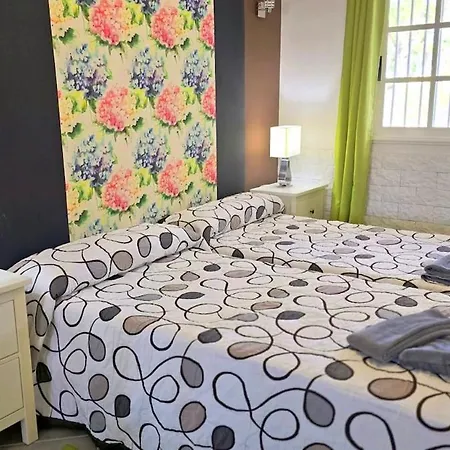 3 Avitaciones * 阿德耶